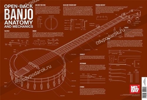 Open-Back Banjo Anatomy and Mechanics (Anatomy Wall Chart) - купить Map ...